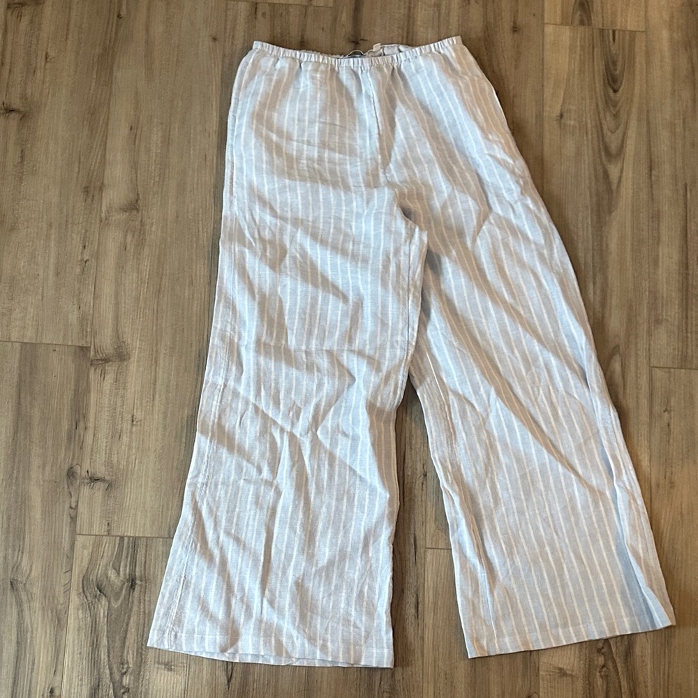 Aritzia the group pants